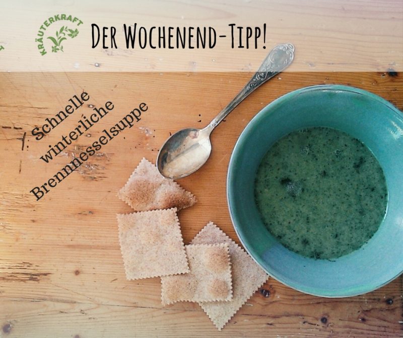 Der Kräuterkraft-Wochenend-Tipp: Brennnessel-Suppe zu Zweit