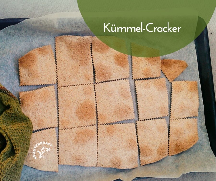 Lust auf Kümmel-Cracker?