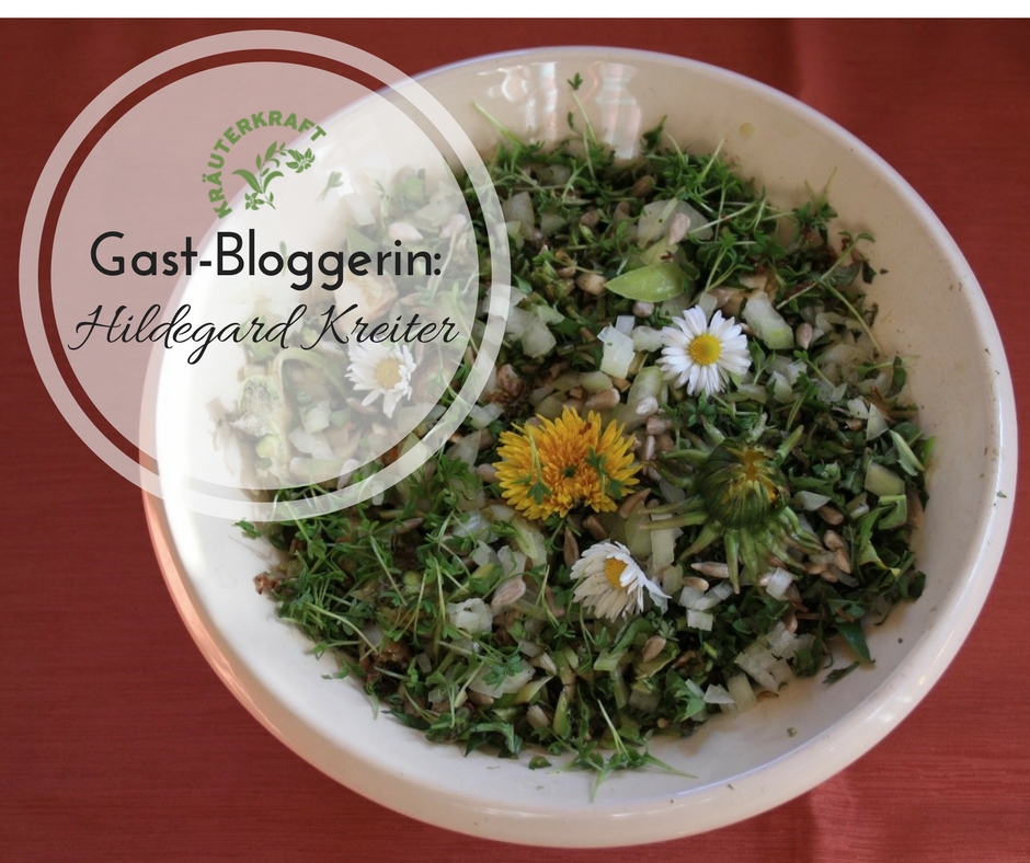 Mein Lieblings-Zigori-Salat Mein Lieblings-Zigori-Salat
