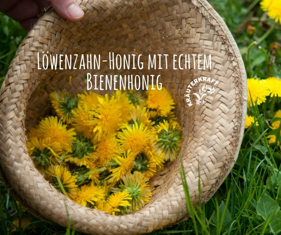 Löwenzahn-Honig einmal ohne Zucker und mit echtem Bienenhonig | www ...