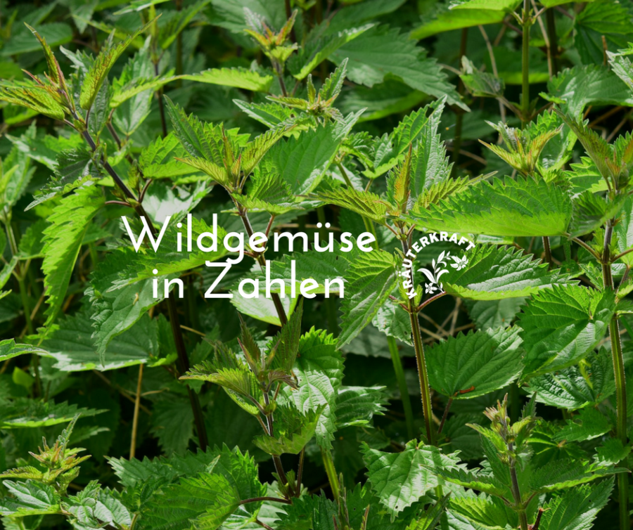 Wildgemüse in Zahlen