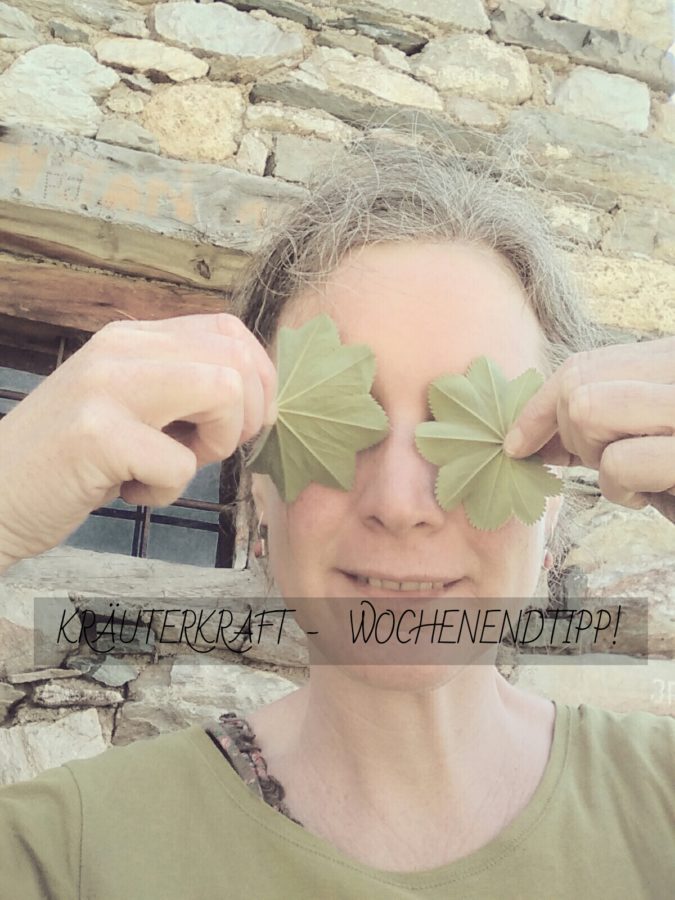 Die Frauenmantel-Schönheitskur Die Frauenmantel-Schönheitskur