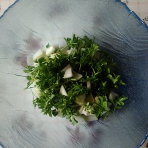 Der Kräuterkraft-Wochenendtipp: Wildkräutersalat mit Brunnenkresse Der Kräuterkraft-Wochenendtipp: Wildkräutersalat mit Brunnenkresse