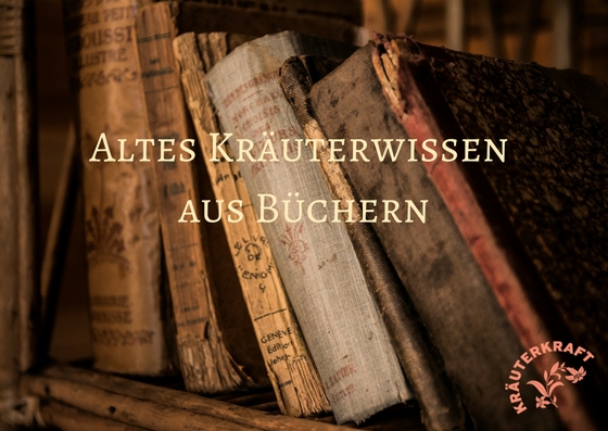 Sauerkraut – Altes Kräuterwissen aus Büchern