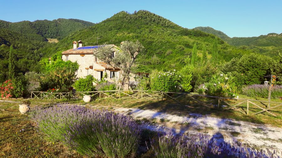 Lavendelreise in die Toskana