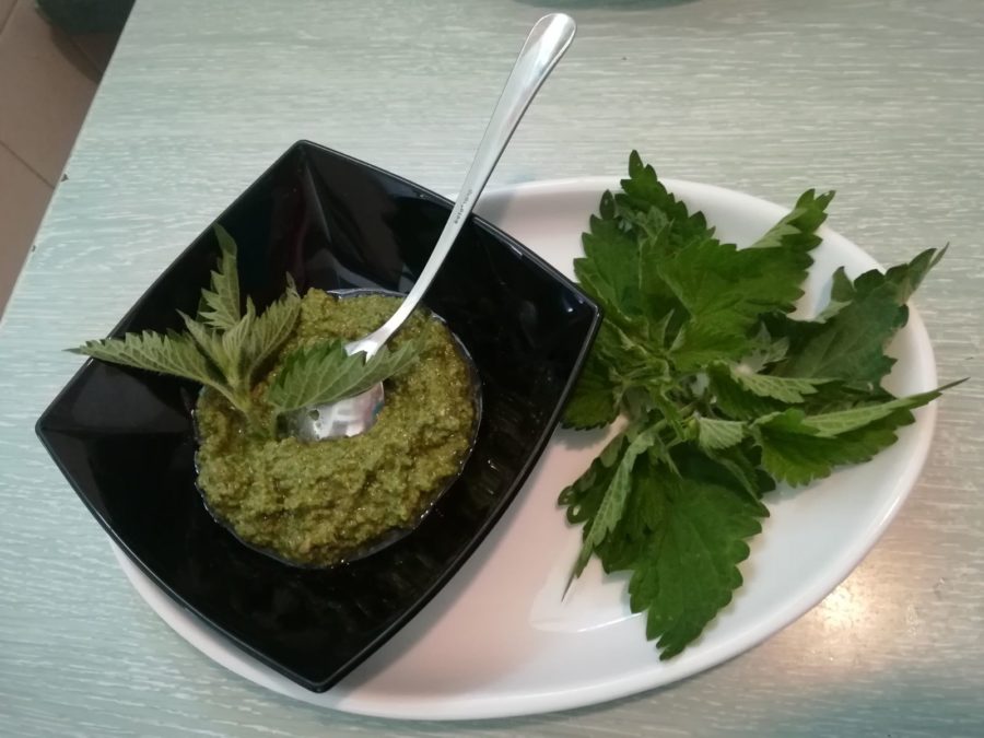 Brennnessel-Pesto mit Sonnenblumenkernen