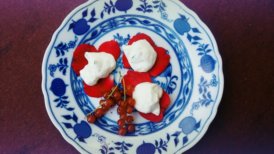 Suchen, Sammeln, Kochen