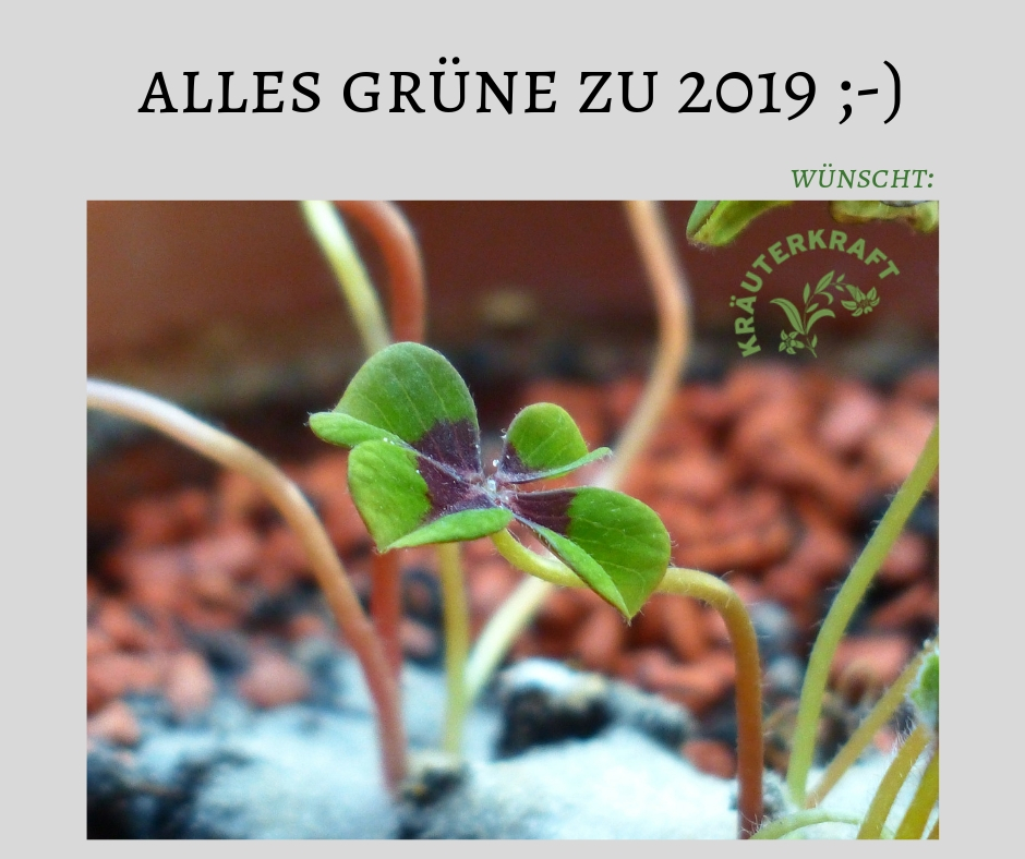 Alles Gute zum Neuen Jahr! Alles Gute zum Neuen Jahr!