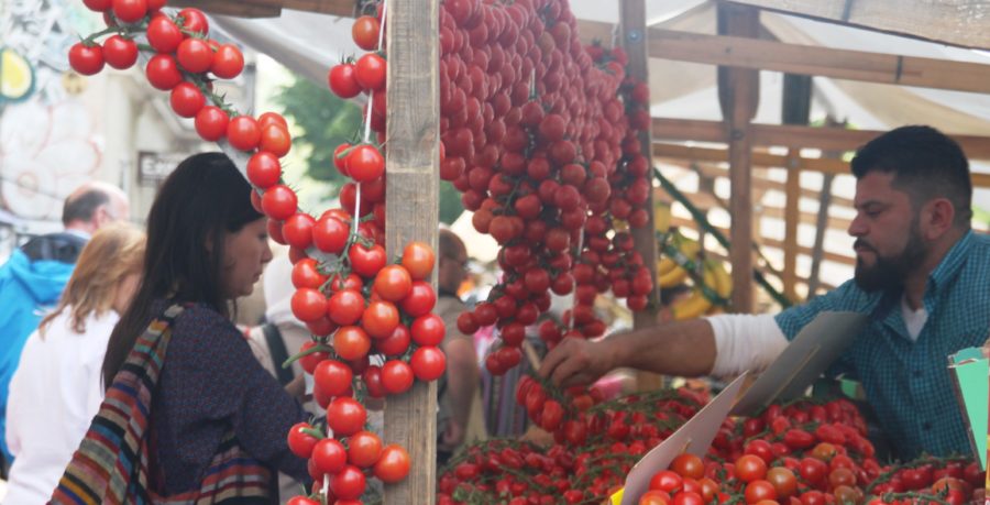 Von Welternährung und Tomaten