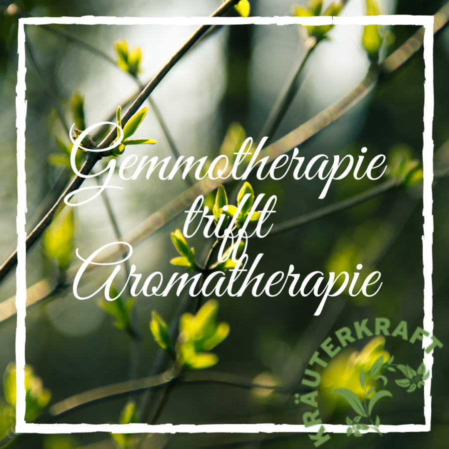 Gemmotherapie trifft Aromatherapie